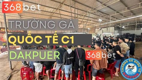 gachoic1.vip.đắk puer